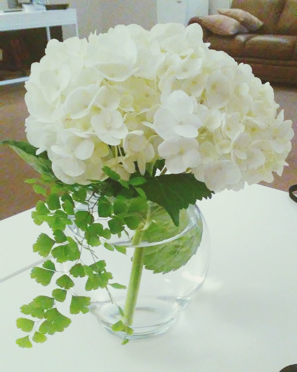 CLOSE-UP OF WHITE ROSES IN VASE