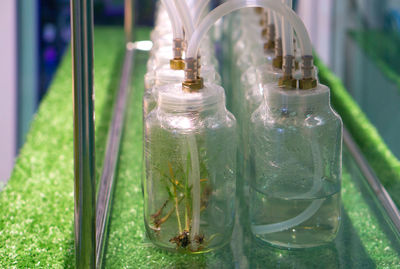 Close-up of glass jar on table