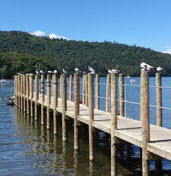 Wooden posts in river against sky