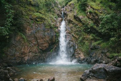 Scenic view of waterfall in forest