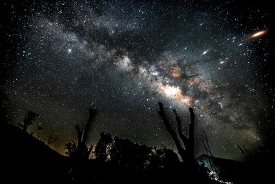 Fireworks against sky at night