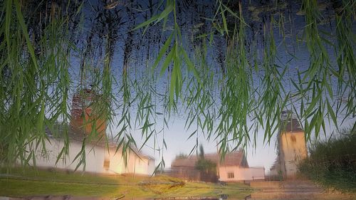 Trees on grass against built structure