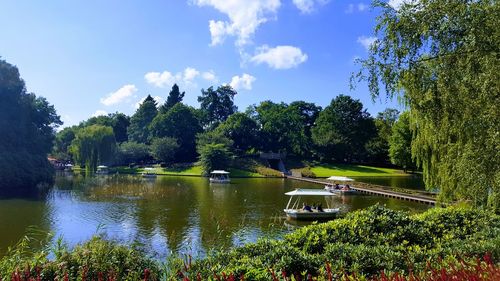 Scenic view of lake by trees against sky