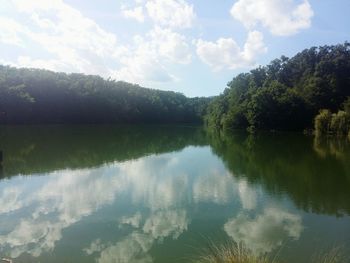 Reflection of trees in lake against sky