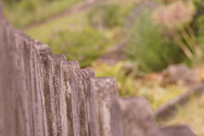 Close-up of wooden fence against blurred background