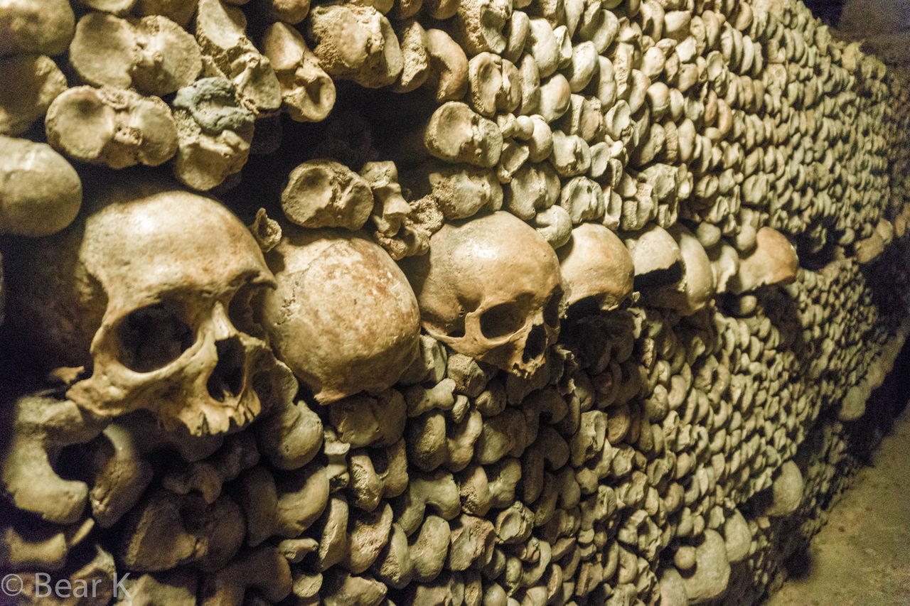 human skull, human skeleton, human bone, bone, human body part, large group of objects, close-up, spooky, indoors, day, people