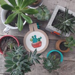 High angle view of potted plant on table