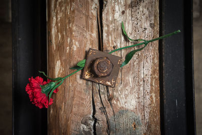 Close-up of rose on table