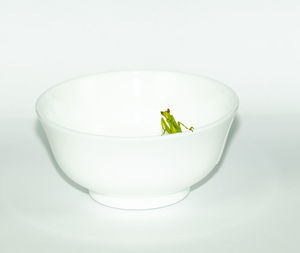 Close-up of drink on white background