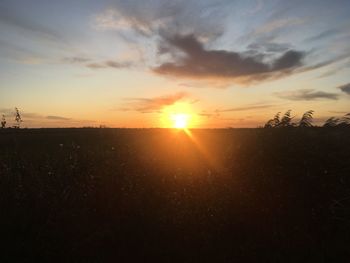 Scenic view of field against sky during sunset