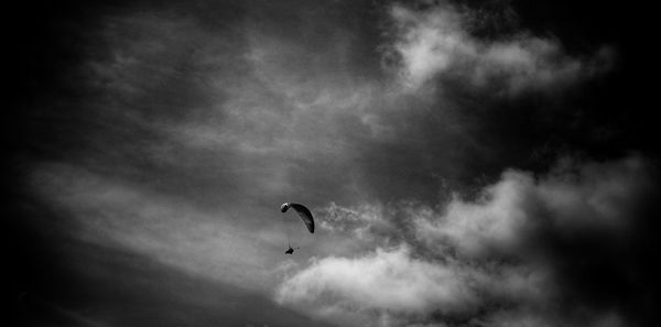 Low angle view of silhouette bird flying in sky