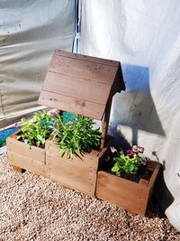 High angle view of potted plant in box