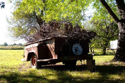 Tractor on field against trees