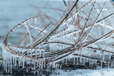 Close up of snow