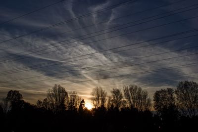 Low angle view of silhouette trees against sky