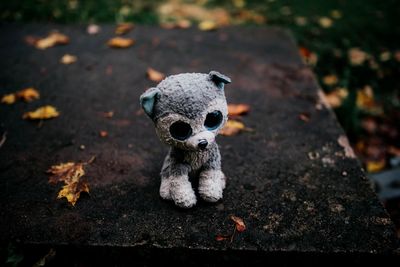 High angle view of stuffed toy on footpath