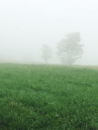 Scenic view of field against sky during foggy weather