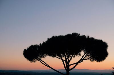 Silhouette tree against sky during sunset