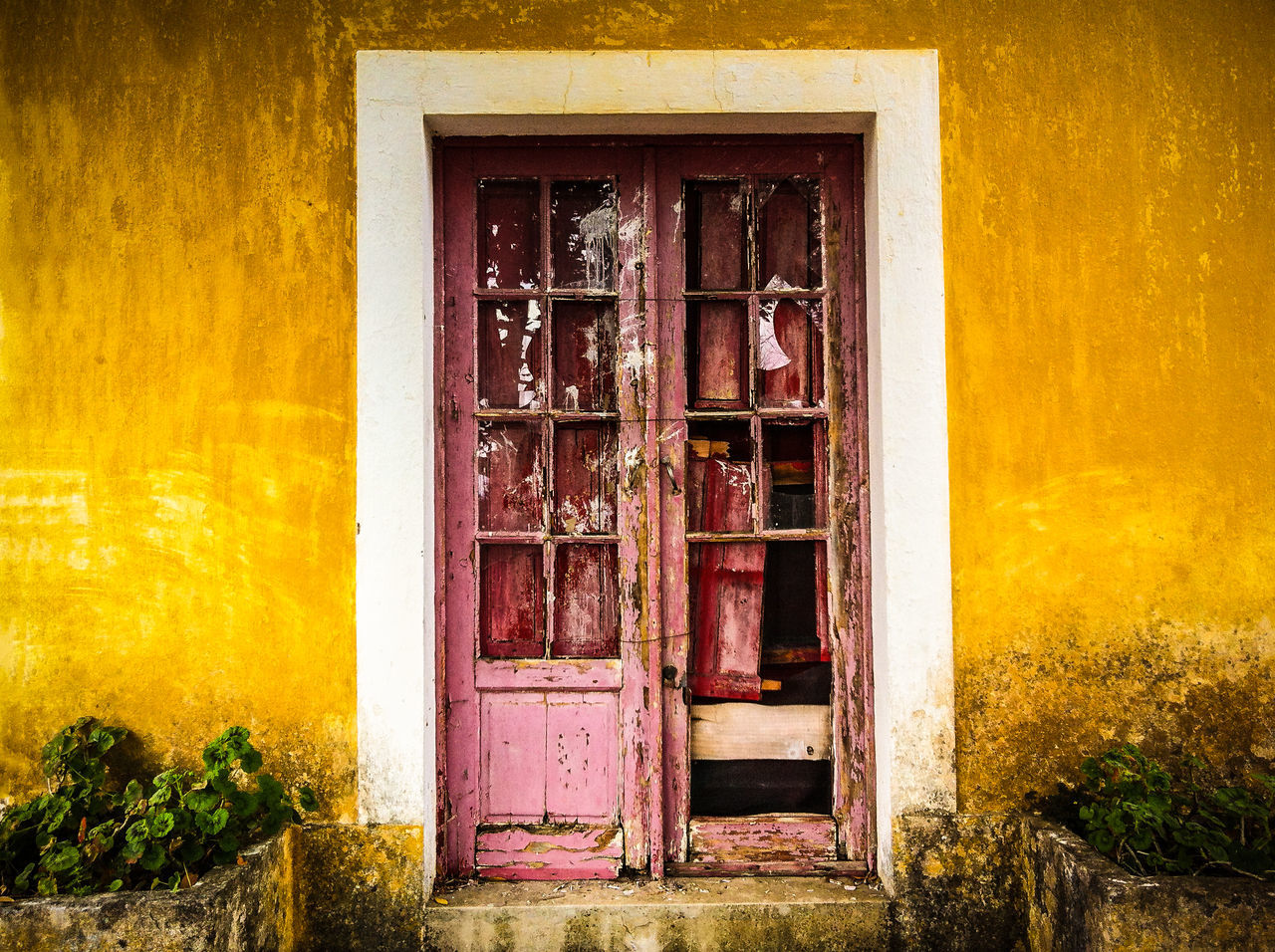 building exterior, architecture, built structure, window, house, door, closed, residential structure, residential building, entrance, wall - building feature, plant, old, wood - material, outdoors, day, wall, glass - material, no people, safety