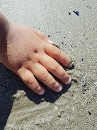 Close-up of woman hand on sand