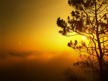 Silhouette tree against orange sky