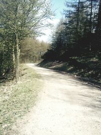 Road passing through trees