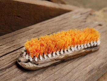 Close-up of orange on table