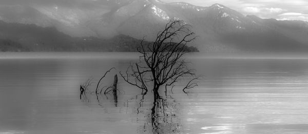 Scenic view of lake against sky during winter