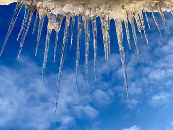 Low angle view of icicles against sky