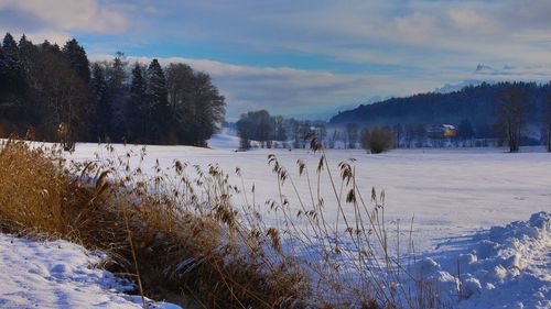 Scenic view of snow covered field against sky