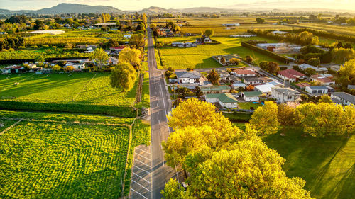 High angle view of agricultural field by houses and trees