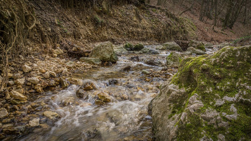 River flowing through rocks in forest