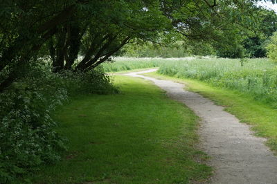 Footpath passing through landscape