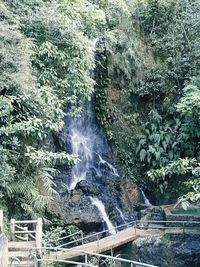 View of waterfall in forest