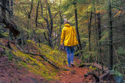 Rear view of man walking in forest