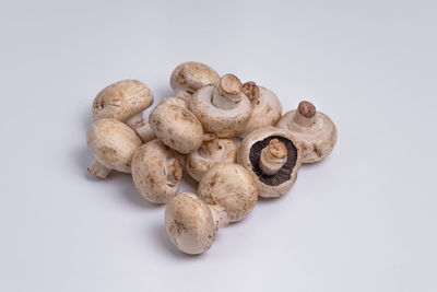 High angle view of mushrooms against white background