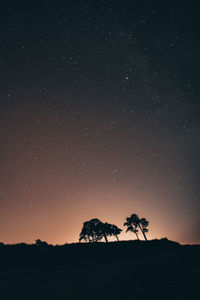 Silhouette trees against sky at night