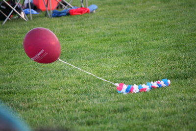 Children playing on grassy field
