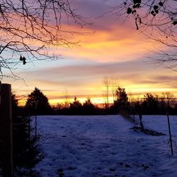 Bare trees on snow covered landscape during sunset