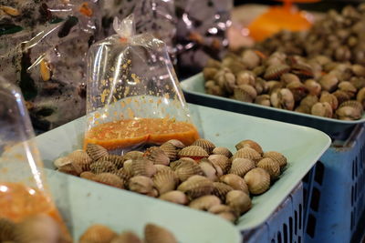 Close-up of seafood for sale in market