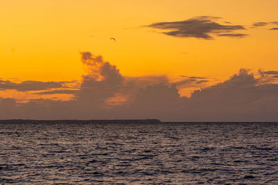 Scenic view of sea against orange sky