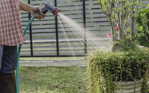 Rear view of woman standing by plants