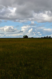 Scenic view of field against sky