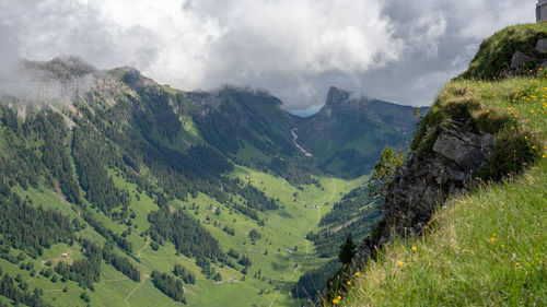 Valley from a mountain