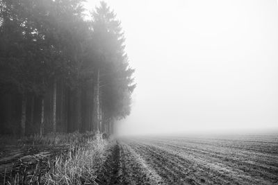 Scenic view of trees on field against sky