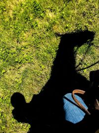 Low section of person shadow on grass