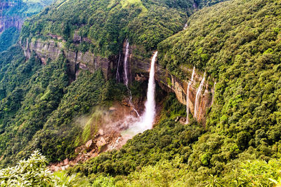 Scenic view of waterfall in forest