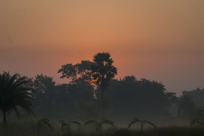 Silhouette trees against sky during sunset