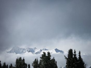 Scenic view of snow covered mountains