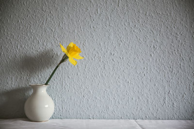 Close-up of yellow flower against wall